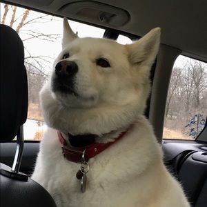 Meet your Posher, Alison